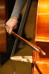upright acoustic bass