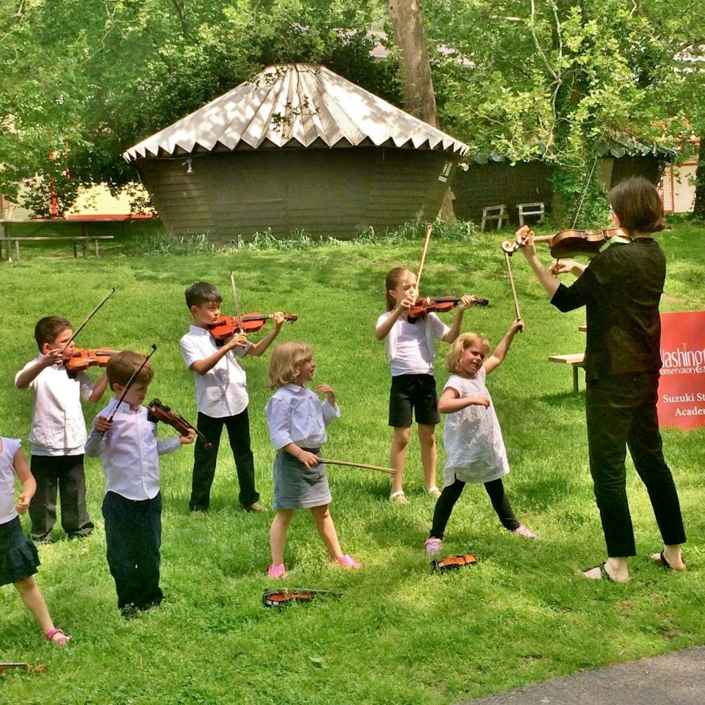 Suzuki violin outside